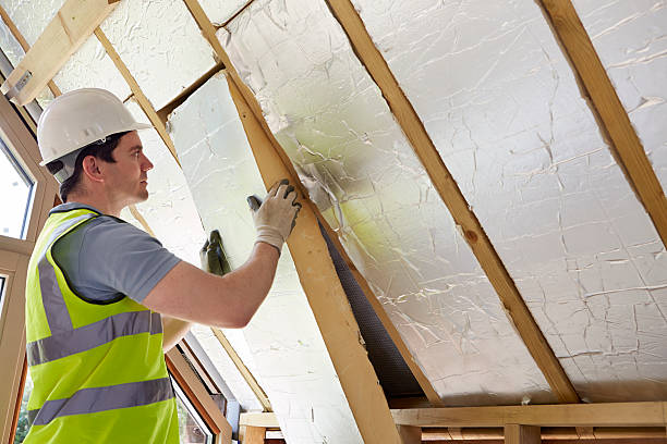 Best Insulation Maintenance and Repair in Arizona City, AZ