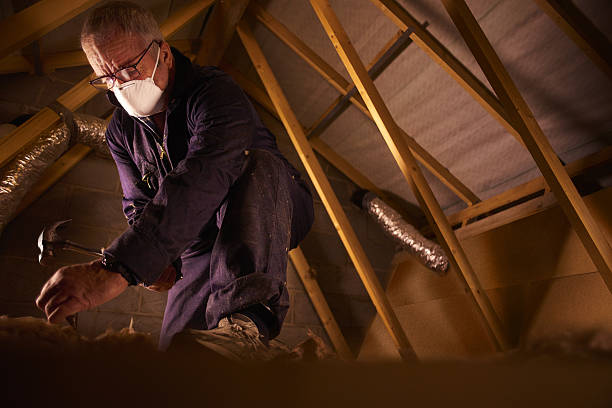 Best Types of Insulation in Arizona City, AZ